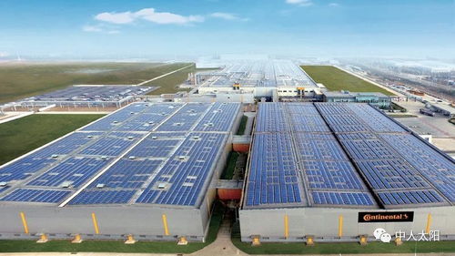 市場(chǎng)交流篇 技術(shù)咨詢?cè)诎舜髽I(yè)務(wù)板塊中的現(xiàn)狀與機(jī)遇